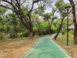 View of exercise paths in the garden surrounded by green trees