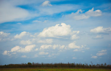 Beautiful spring landscape in Adygea