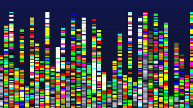 Genome Design Multicolor Data Visualization Vector. Dna Test, Barcoding, Genome Map Architecture. Medical Chromosome Analysis Graphic Bioinformatic Diagram Template Flat Illustration