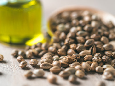 Close up view of hemp seeds and hemp oil on brown wooden table. Hemp seeds in wooden spoon and hemp essential oil in small glass bottle. Copy space for text. Shallow DOF