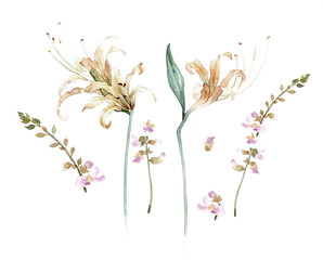 Flowers watercolor illustration.Manual composition.Big Set watercolor elements.