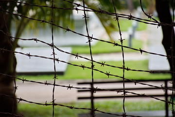 Barbed wire on fence with park in the background