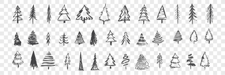 Hand drawn christmas trees set