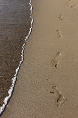 footprints on the sandy coast in the early sunny morning