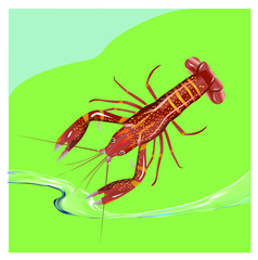 Vector illustration, crayfish.  Vector delicacy river lobster, langoustine or spiny lobster or crustacean delicacies isolated on green background.