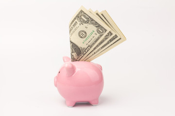 Piggy bank with dollar notes on white background, space for text. Finance, saving money