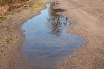 Puddle on the road after rain with reflection of spring blue sky and tree.