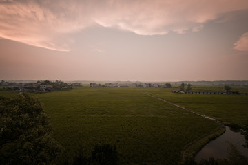 Obraz premium Beautiful Chinese rural landscape, agricultural production, agricultural products, agricultural development.