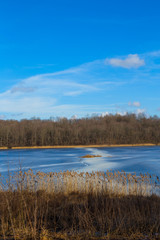 Beautiful ice pattern on a winter lake. Vertical background of a frozen lake and winter trees.