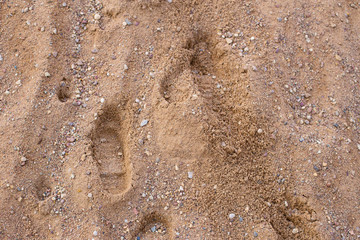 Traces of man in the sand. The concept of travel and walks along the beach