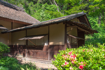Old wooden house in a forest (Yokohama, Japan)