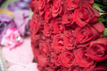 Happy Women's Day. Bouquet of natural red roses for gift.
