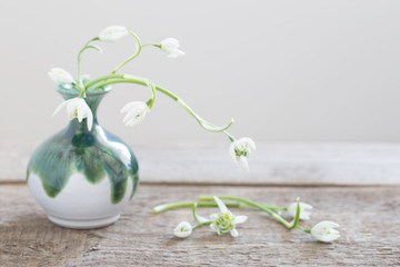 white snowdrops in ceramic vase on wooden table