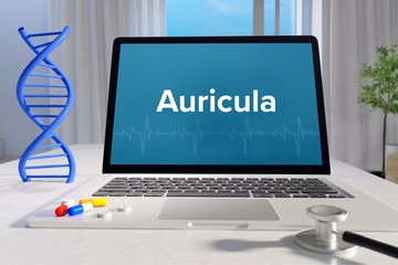 Auricula – Medizin, Gesundheit. Computer im Büro mit Begriff auf dem Bildschirm. Arzt, Krankheit, Gesundheitswesen