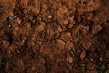 texture of soil