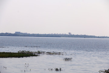 Puzhal Lake with Landscape and blue sky