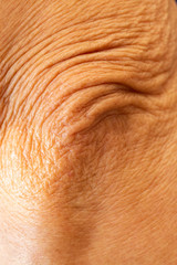 Senior woman's wrinkled elbow, Close up & Macro shot, Selective focus, Asian body skin concept, Abstract background