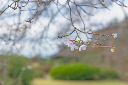 1 Best 好文亭 Images Stock Photos Vectors Adobe Stock 1 Best 好文亭 Images Stock Photos Vectors Adobe Stock