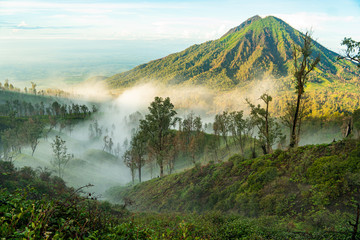 volcano Ruang next to Ijen covered in sulphur coming out uf Ijen. a mystic view early in the morning in Java, Indonesia