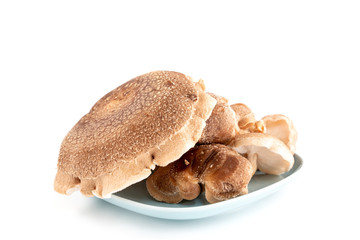Shiitake mushroom isolated on white background.