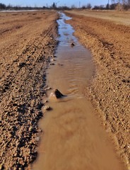 footprints in sand