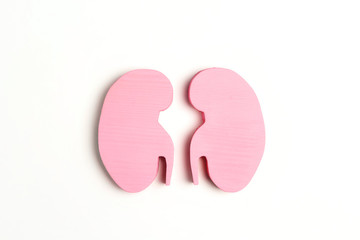 Pink human kidney symbol on white background. World Kidney Day.