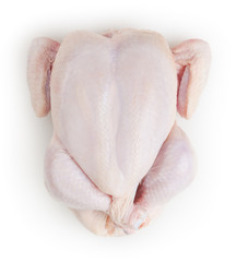 Whole fresh raw chicken isolated on white background with clipping path