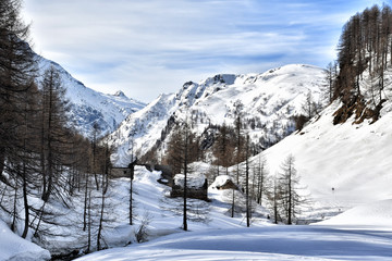 Fototapeta na wymiar Huts on Alpe Devero in winter.