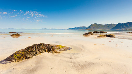 Fototapeta na wymiar Sea coast with sandy beach,Lofoten Norway