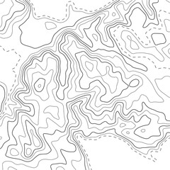 Topographic map background. Grid map. Abstract vector illustration.
