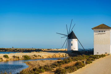 Fototapeta na wymiar Windmill in San Pedro del Pinatar, Spain