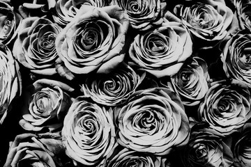 Natural roses bouqet background, black and white.