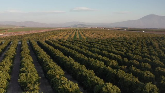Scenic Countryside View Bakersfield California