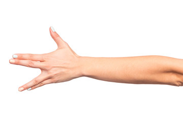 Fototapeta premium female hand isolated on white background showing hand gestures - Image