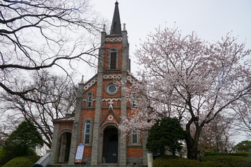Fototapeta na wymiar 한국 공세리 성당과 벚꽃