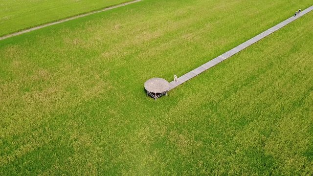 Aerial view of Wooden and cottage in the rice fields