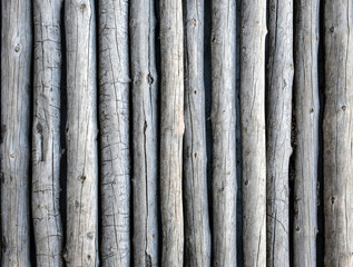 Wooden logs surface background.