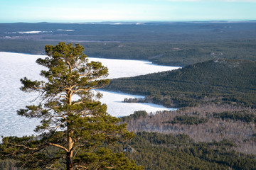 Landscape of frozen lake and forest around it with pine tree on foreground.