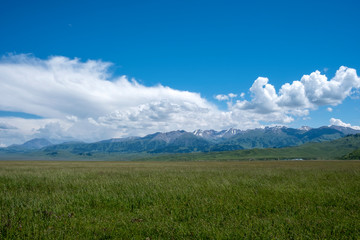 Fototapeta premium Green meadow with cloudy sky and mountains background. Beautiful meadow scenery. Adventure day. Mountain hiking. Mountain valley view. Spring season.