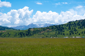 Fototapeta na wymiar Green meadow with cloudy sky and mountains background. Beautiful meadow scenery. Adventure day. Mountain hiking. Mountain valley view. Spring season.