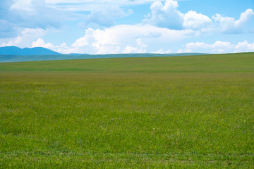 Green meadow with cloudy sky and mountains background. Beautiful meadow scenery. Adventure day. Mountain hiking. Mountain valley view. Spring season.