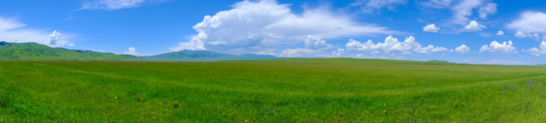 Fototapeta na wymiar Panoramic landscape of green meadow with cloudy sky and mountains background. Beautiful meadow scenery. Adventure day. Mountain hiking. Mountain valley view. Spring season.