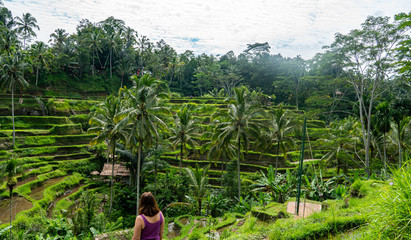 Girl standing in front of the ricefields Tegallalang on Bali. beautiful view of the green with clouds in the sky