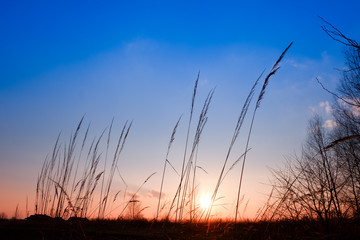 Beatiful suneset at the fields