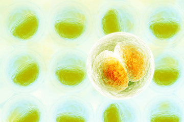 Cells with nucleus on scientific background. 3d illustration