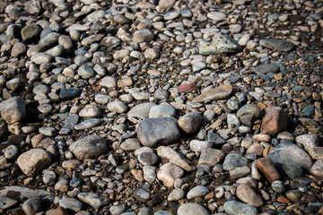 Pebble. Smooth stones. Stones background. Coloured stones. Natural background