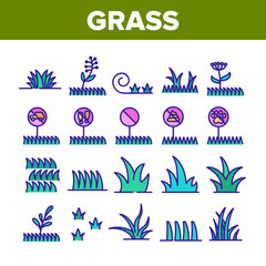 Fototapeta na wymiar Grass Meadow Plant Collection Icons Set Vector. Garden Natural Glass With Mark Non-feet, No Animal, Growth Botanical Herb Concept Linear Pictograms. Color Contour Illustrations