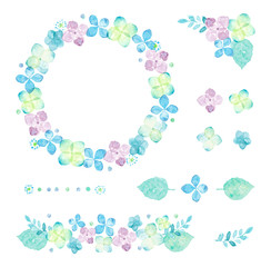 Illustration of hydrangea painted by watercolor