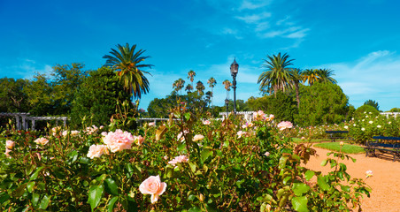 Rose Park within Parque Tres de Febrero, or Bosques de Palermo (Palermo Woods in English), an urban...