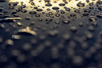 Water drops on a shiny surface, selective focus. Rain drops. Abstract background.